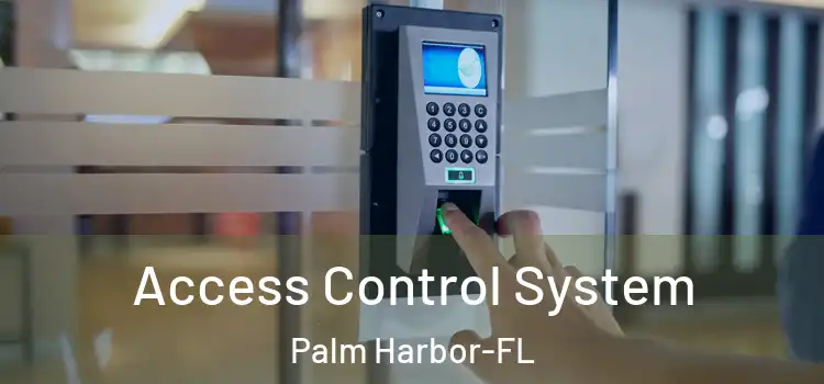  Access Control System Palm Harbor-FL