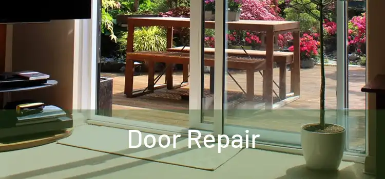 Door Repair
