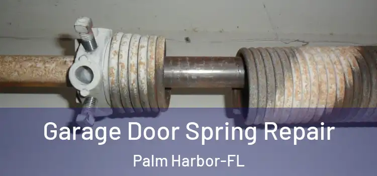 Garage Door Spring Repair Palm Harbor-FL