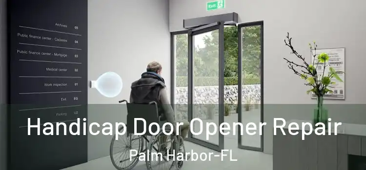 Handicap Door Opener Repair Palm Harbor-FL