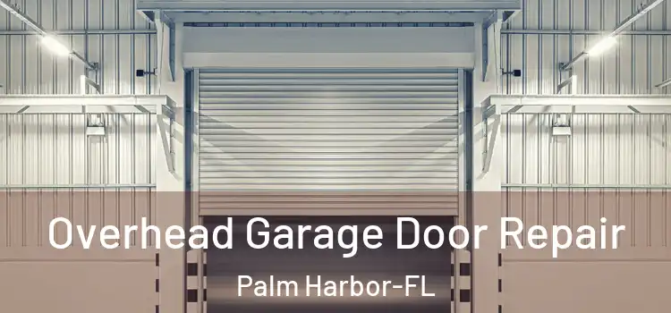  Overhead Garage Door Repair Palm Harbor-FL