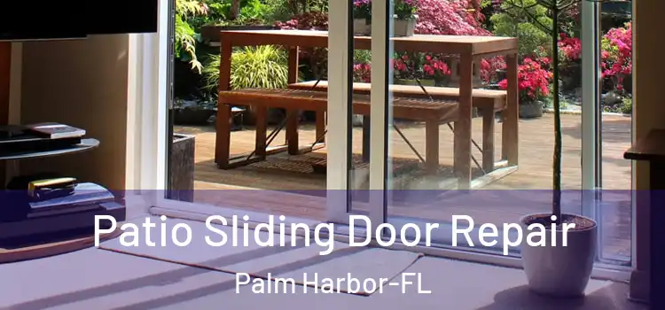 Patio Sliding Door Repair Palm Harbor-FL
